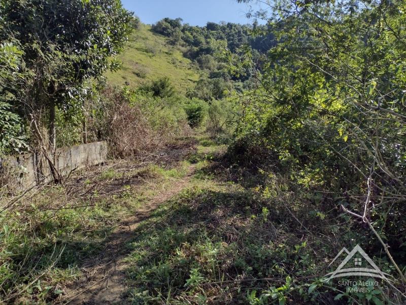Fazenda / Sítio à venda em Santo Aleixo, Rio de Janeiro - RJ - Foto 9