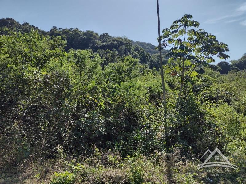 Fazenda / Sítio à venda em Santo Aleixo, Rio de Janeiro - RJ - Foto 8