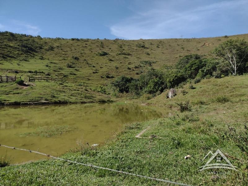 Fazenda / Sítio à venda em Santo Aleixo, Rio de Janeiro - RJ - Foto 7