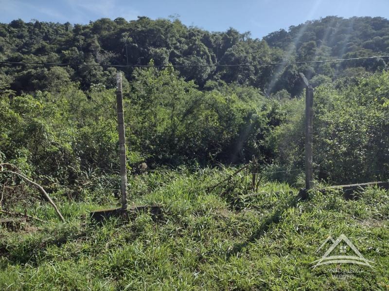 Fazenda / Sítio à venda em Santo Aleixo, Rio de Janeiro - RJ - Foto 5