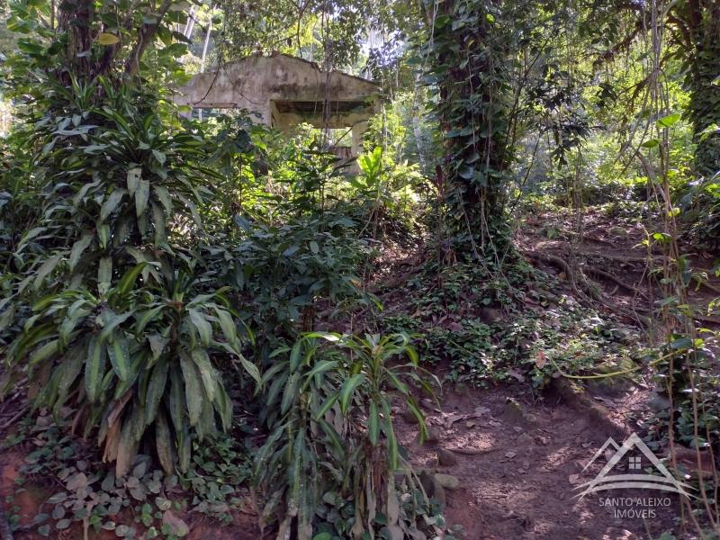 Fazenda / Sítio à venda em Santo Aleixo, Rio de Janeiro - RJ - Foto 4