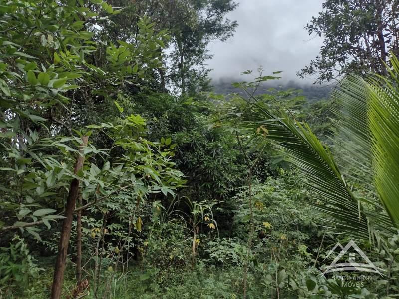 Terreno Residencial à venda em Santo Aleixo, Rio de Janeiro - RJ - Foto 19