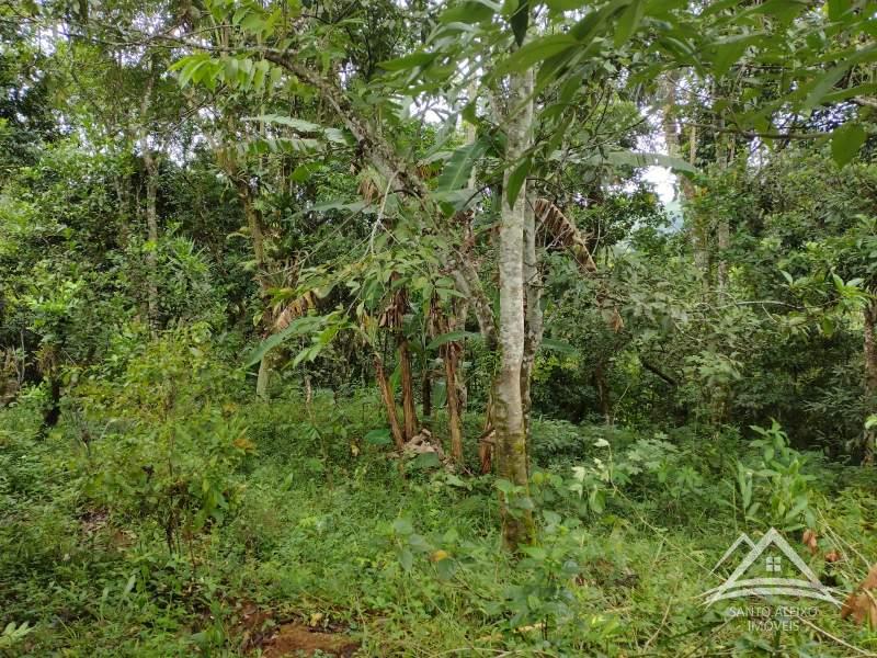 Terreno Residencial à venda em Santo Aleixo, Rio de Janeiro - RJ - Foto 18