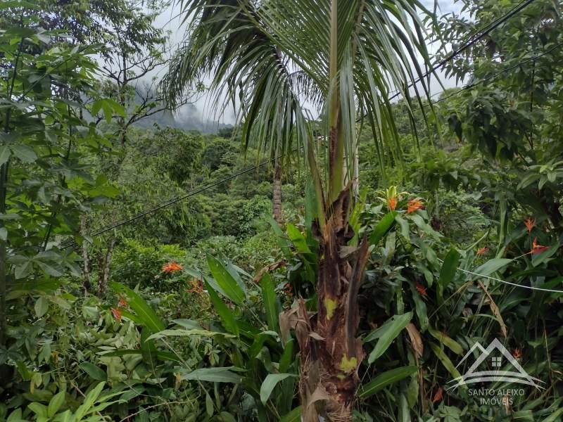 Terreno Residencial à venda em Santo Aleixo, Rio de Janeiro - RJ - Foto 8