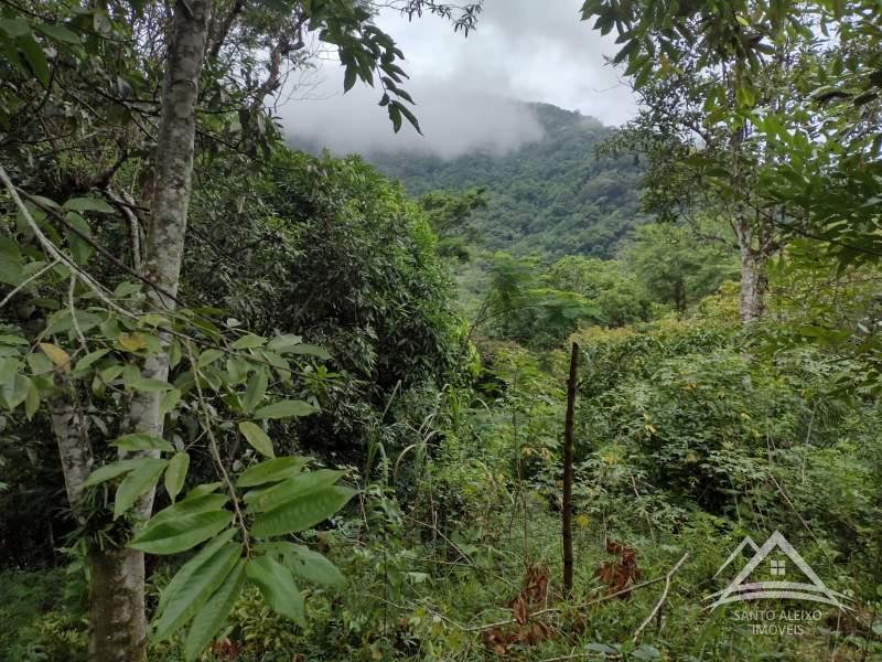 Terreno Residencial à venda em Santo Aleixo, Rio de Janeiro - RJ - Foto 3