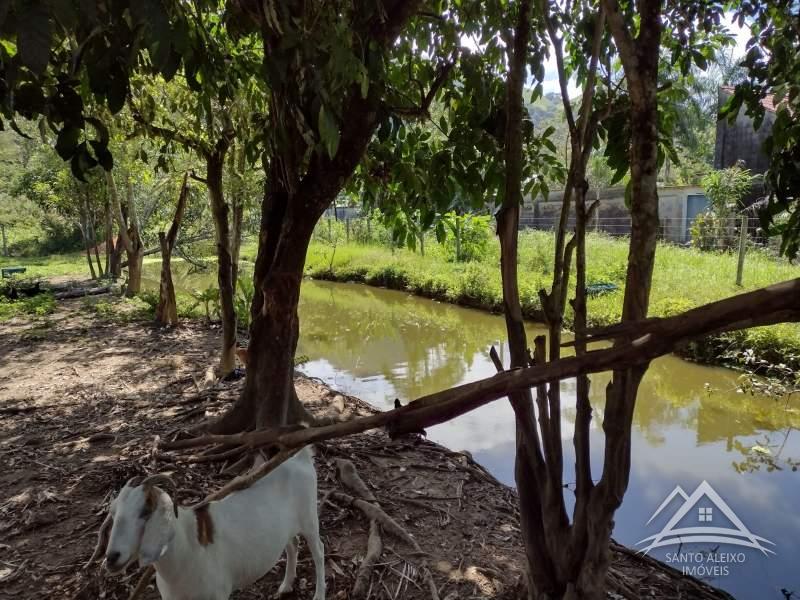 Fazenda / Sítio à venda em Santo Aleixo, Rio de Janeiro - RJ - Foto 1