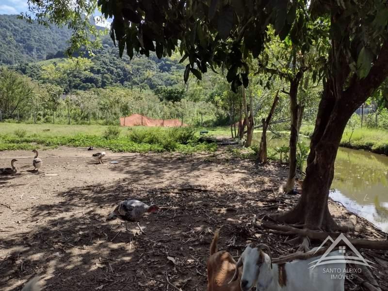 Fazenda / Sítio à venda em Santo Aleixo, Rio de Janeiro - RJ - Foto 3