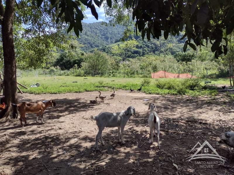 Fazenda / Sítio à venda em Santo Aleixo, Rio de Janeiro - RJ - Foto 4