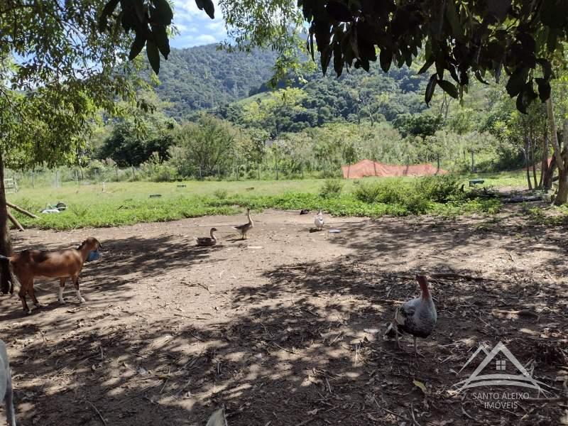 Fazenda / Sítio à venda em Santo Aleixo, Rio de Janeiro - RJ - Foto 5