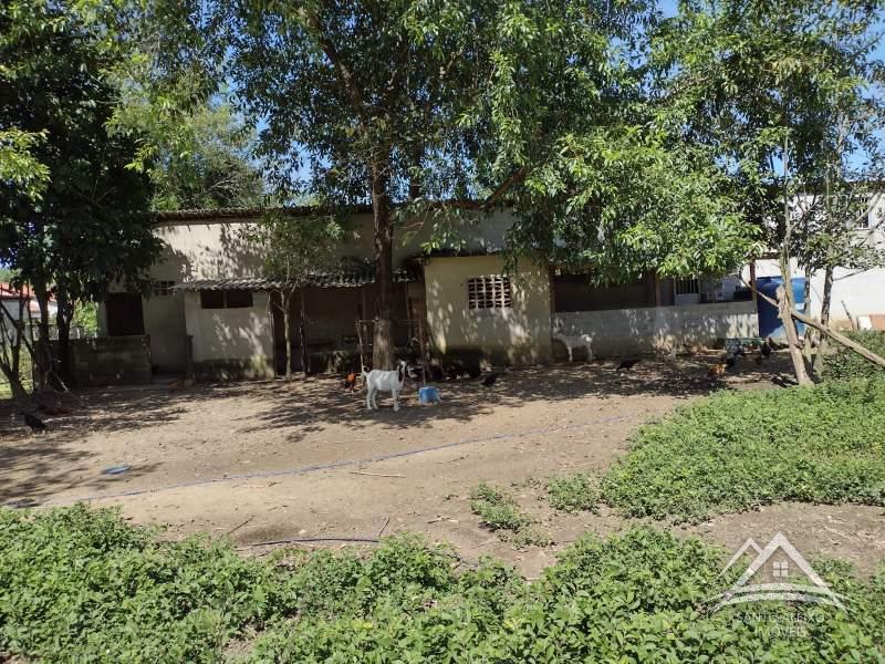 Fazenda / Sítio à venda em Santo Aleixo, Rio de Janeiro - RJ - Foto 7