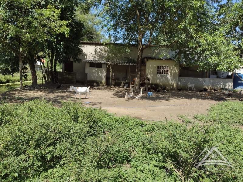Fazenda / Sítio à venda em Santo Aleixo, Rio de Janeiro - RJ - Foto 8