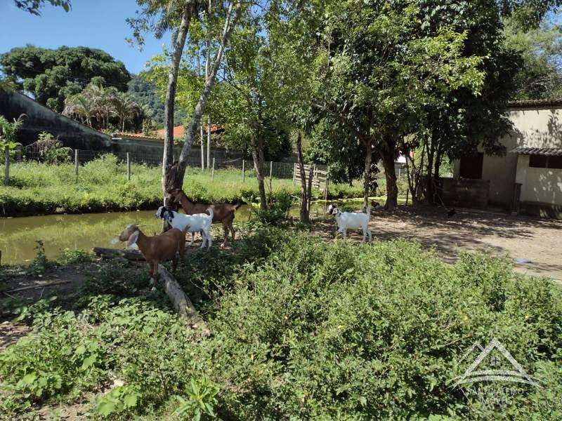 Fazenda / Sítio à venda em Santo Aleixo, Rio de Janeiro - RJ - Foto 9