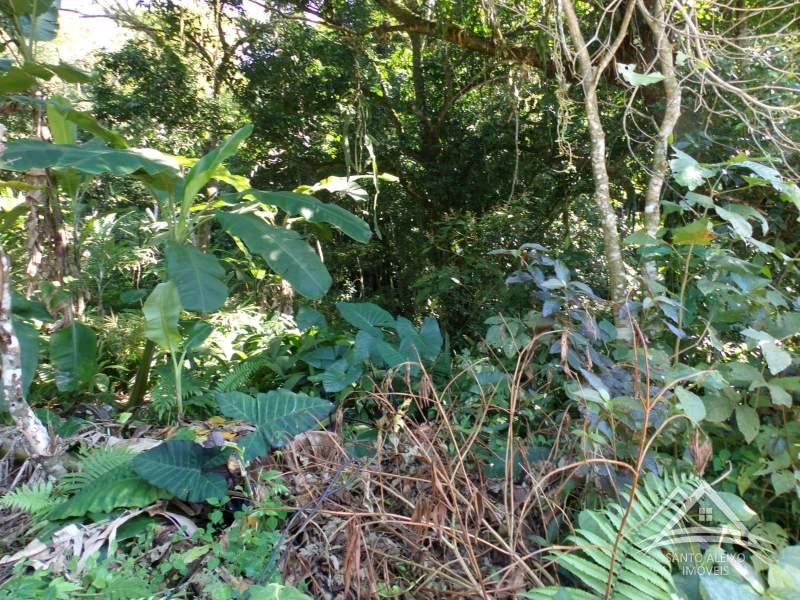 Terreno Residencial à venda em Santo Aleixo, Rio de Janeiro - RJ - Foto 1
