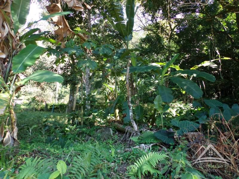 Terreno Residencial à venda em Santo Aleixo, Rio de Janeiro - RJ - Foto 5