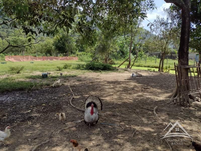 Terreno Residencial à venda em Santo Aleixo, Rio de Janeiro - RJ - Foto 7