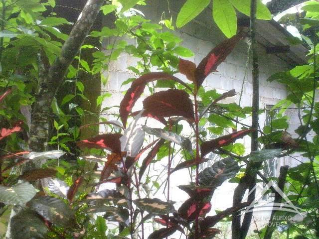 Casa à venda em Santo Aleixo, Rio de Janeiro - RJ - Foto 6