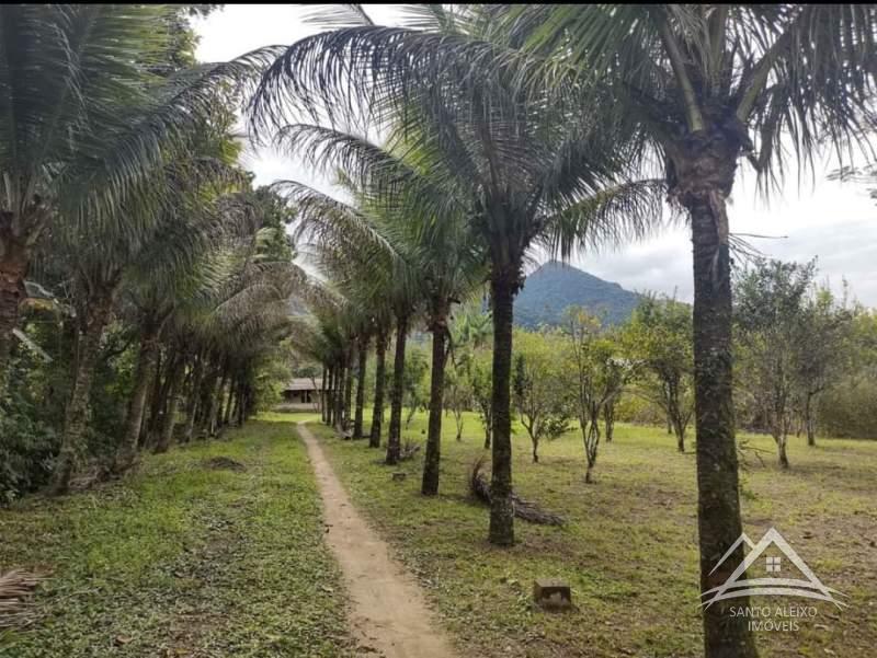 Fazenda / Sítio à venda em Santo Aleixo, Rio de Janeiro - RJ - Foto 12