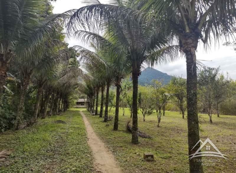 Fazenda / Sítio à venda em Santo Aleixo, Rio de Janeiro - RJ - Foto 19