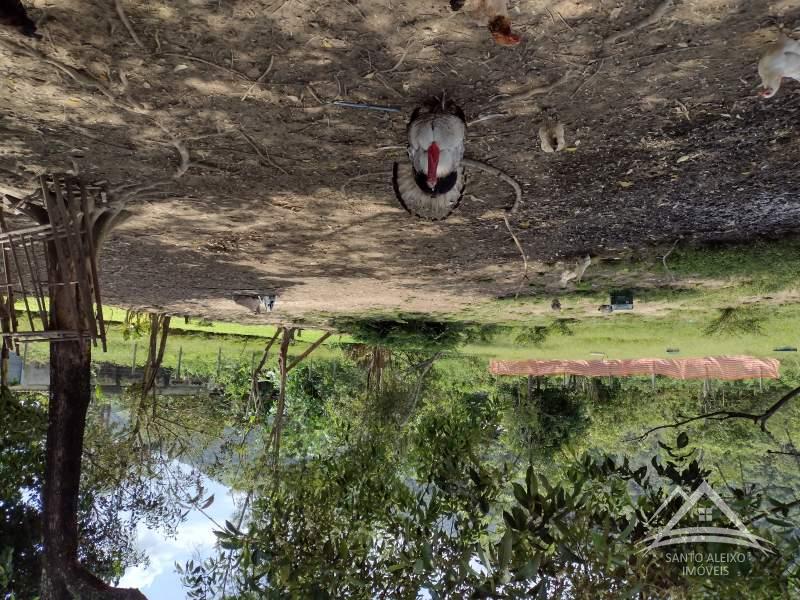 Terreno Residencial à venda em Santo Aleixo, Rio de Janeiro - RJ - Foto 8