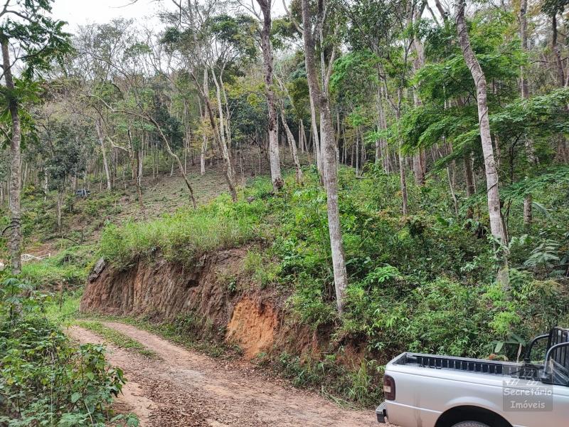 Terreno em Pedro do Rio - Petrópolis/RJ 