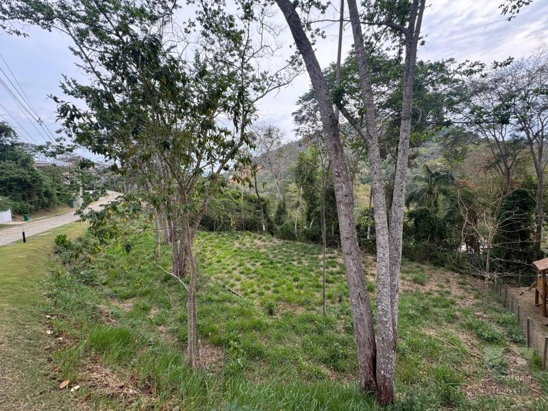 Terreno em Itaipava  - Petrópolis/RJ 