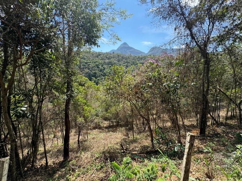 Terreno em Araras e Vale das Videiras - Petrópolis/RJ 