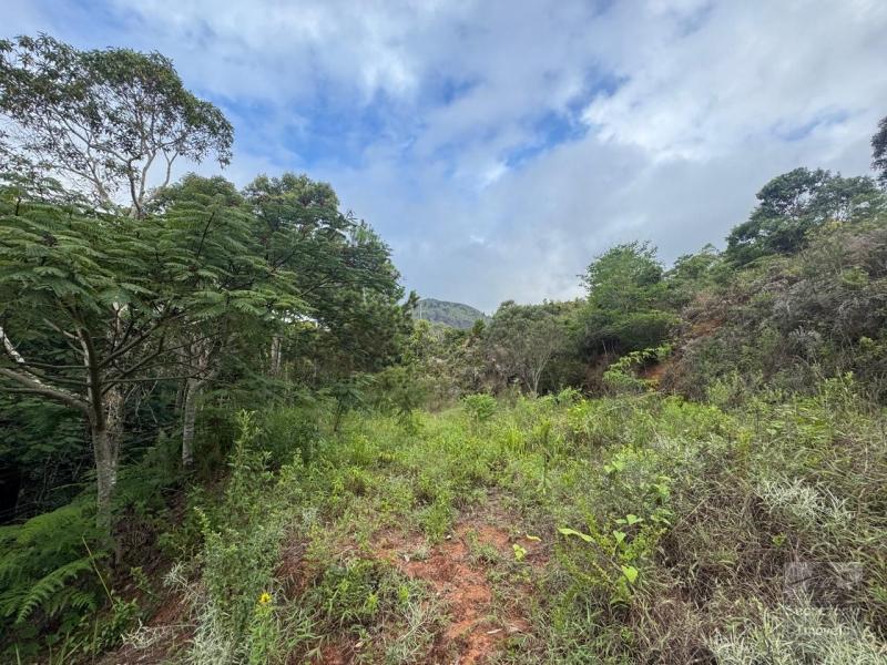 Terreno em Itaipava  - Petrópolis/RJ 