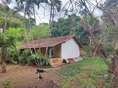 [SEC 2158] Fazenda e Haras em Avelar, Paty do Alferes/RJ