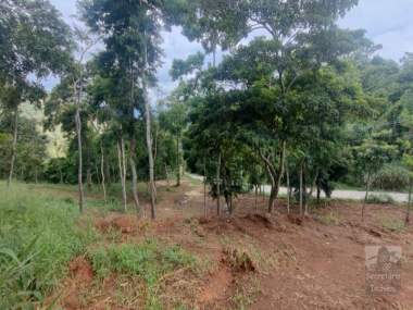 [SEC 3767] Terreno em Itaipava , Petrópolis/RJ