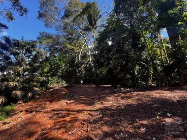 [SEC 10555] Terreno em Pedro do Rio, Petrópolis/RJ