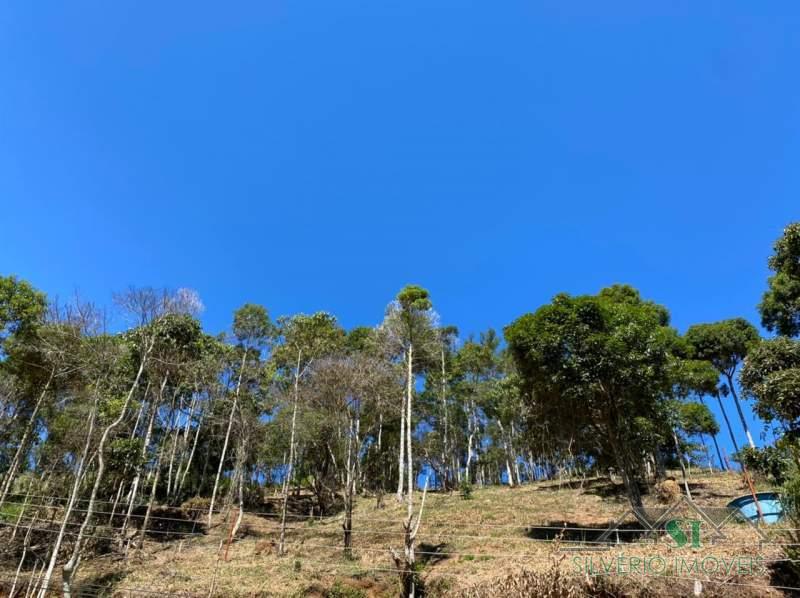 Terreno à venda, 1600m² - Foto 8