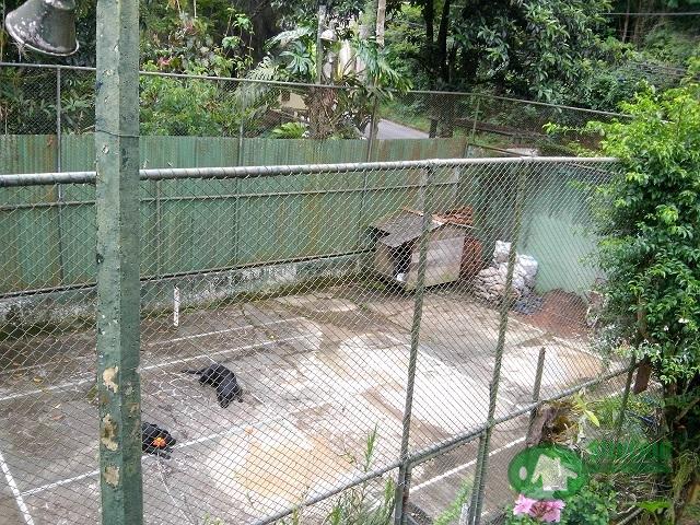 Casa, 6 quartos, 606 m² - Foto 4