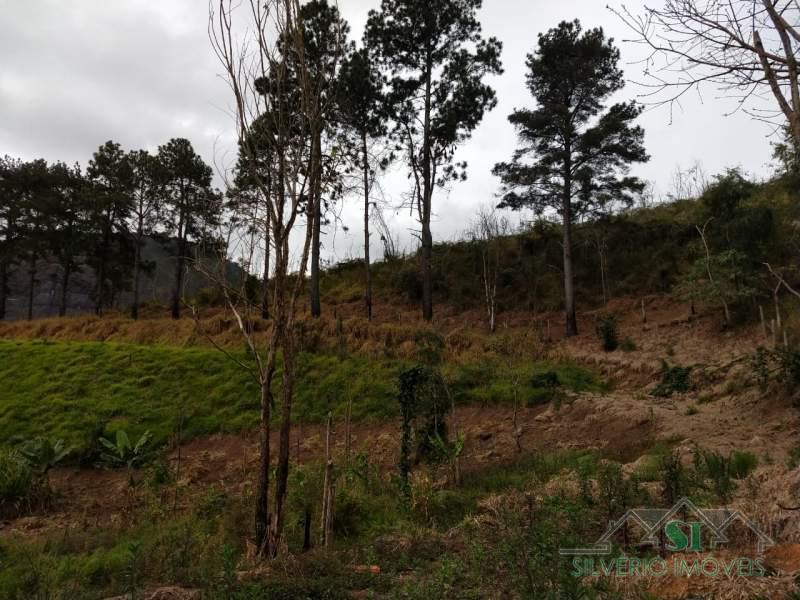 Terreno Residencial à venda em Itaipava, Petrópolis - RJ - Foto 4