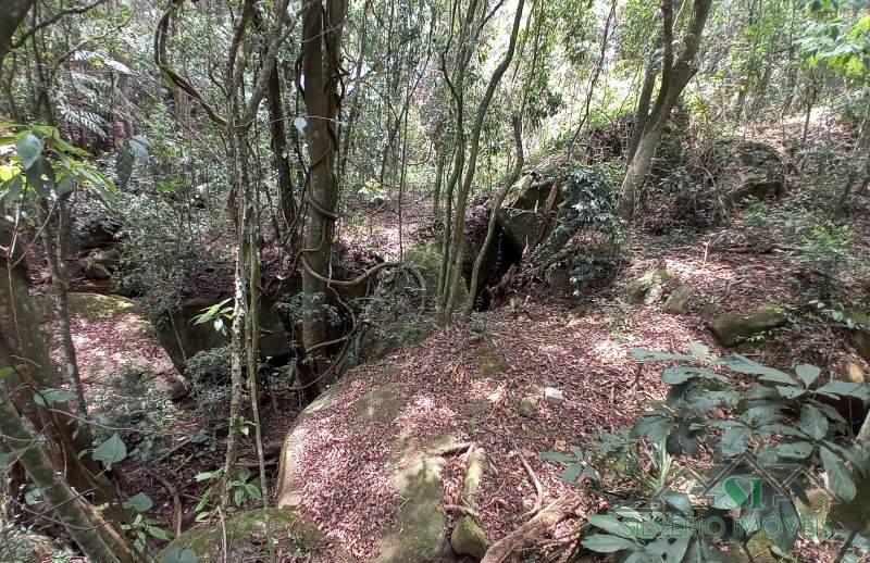 Sítio à venda com 3 quartos, 17000m² - Foto 20