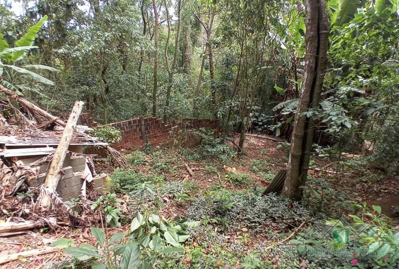 Sítio à venda com 3 quartos, 17000m² - Foto 8