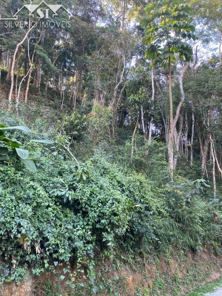 Terreno à venda, 3000m² - Foto 7