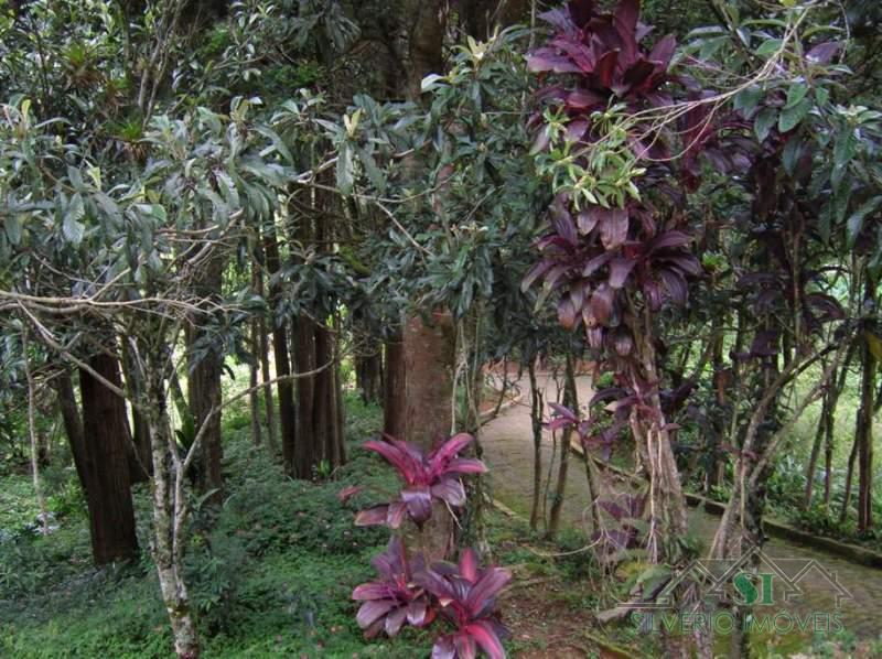 Fazenda / Sítio à venda em Estrada da Saudade, Petrópolis - RJ - Foto 30