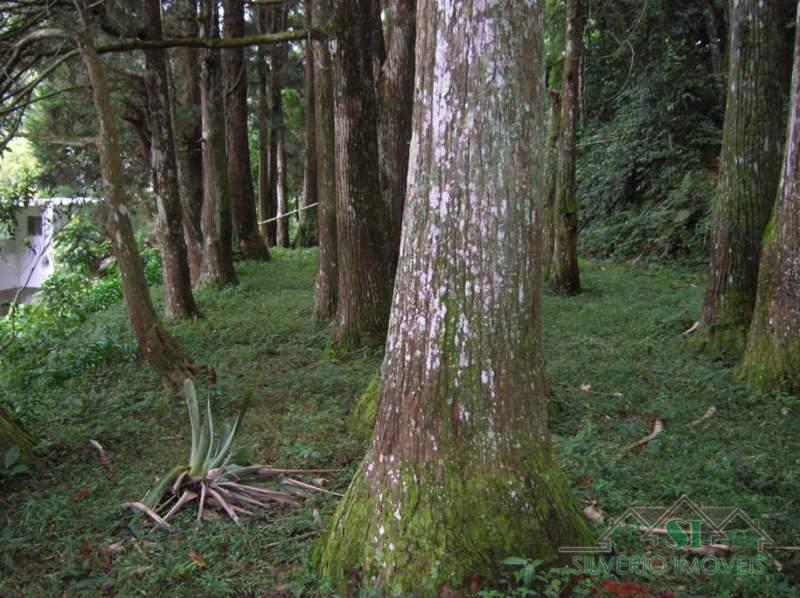 Fazenda / Sítio à venda em Estrada da Saudade, Petrópolis - RJ - Foto 29