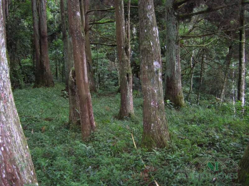 Fazenda / Sítio à venda em Estrada da Saudade, Petrópolis - RJ - Foto 28