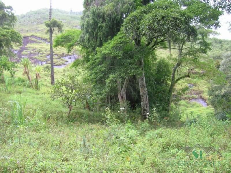 Fazenda / Sítio à venda em Estrada da Saudade, Petrópolis - RJ - Foto 20