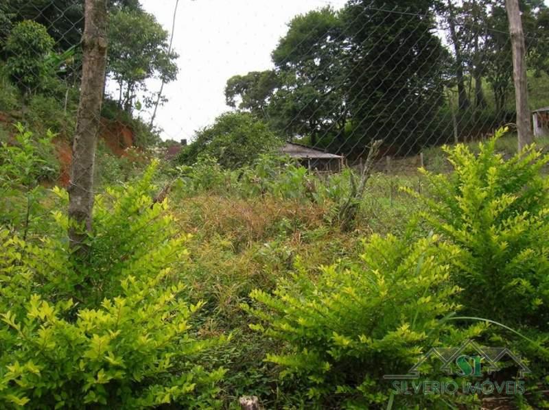 Fazenda / Sítio à venda em Estrada da Saudade, Petrópolis - RJ - Foto 19