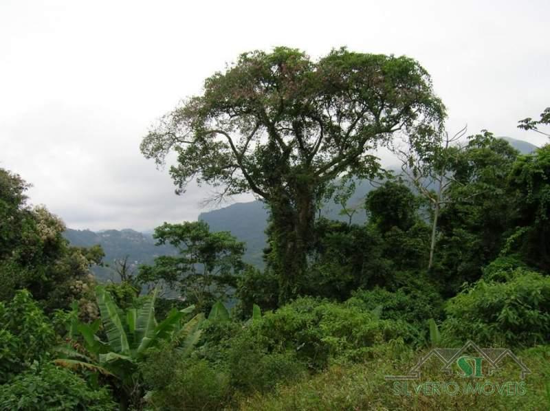 Fazenda / Sítio à venda em Estrada da Saudade, Petrópolis - RJ - Foto 11