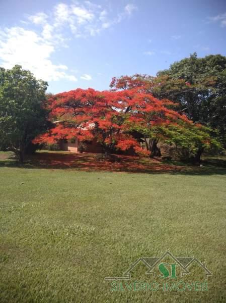 Fazenda à venda com 5 quartos, 1000m² - Foto 18