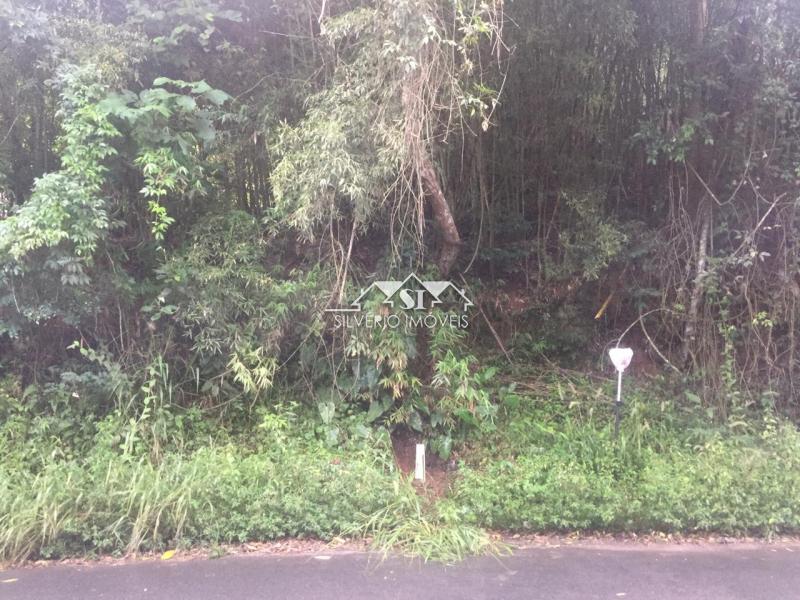 Terreno Residencial à venda em Corrêas, Petrópolis - RJ - Foto 2
