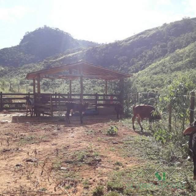 Terreno à venda, 166000m² - Foto 3