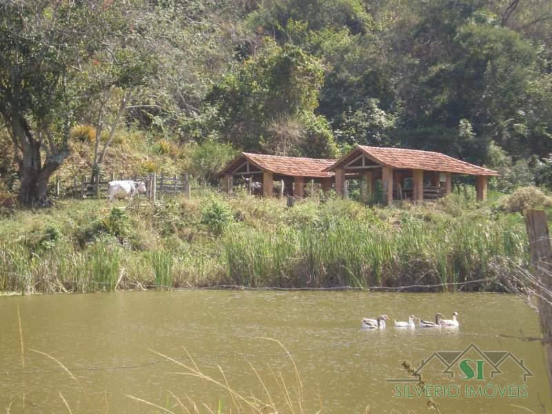 Casa à venda com 5 quartos, 500m² - Foto 53