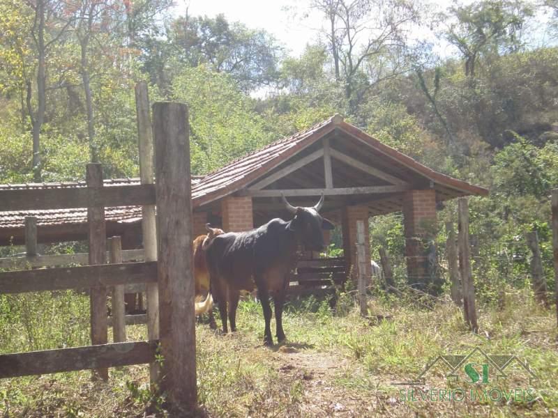 Casa à venda com 5 quartos, 500m² - Foto 54