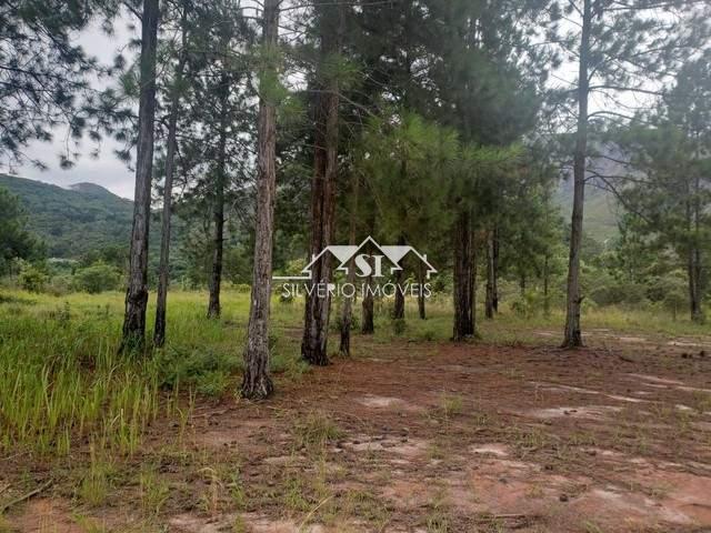 Terreno à venda, 1690000m² - Foto 5