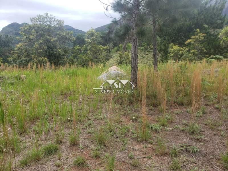 Terreno Residencial à venda em Itaipava, Petrópolis - RJ - Foto 31