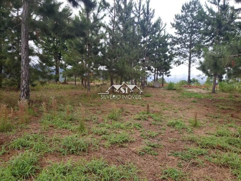 Terreno Residencial à venda em Itaipava, Petrópolis - RJ - Foto 46